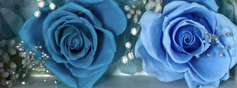 体験レッスン<br>（初めての方向け）