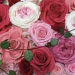 資格を取る⁉　東村山　プリザーブドフラワー