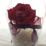 ハロウィンも可愛い花で飾りましょう～♬