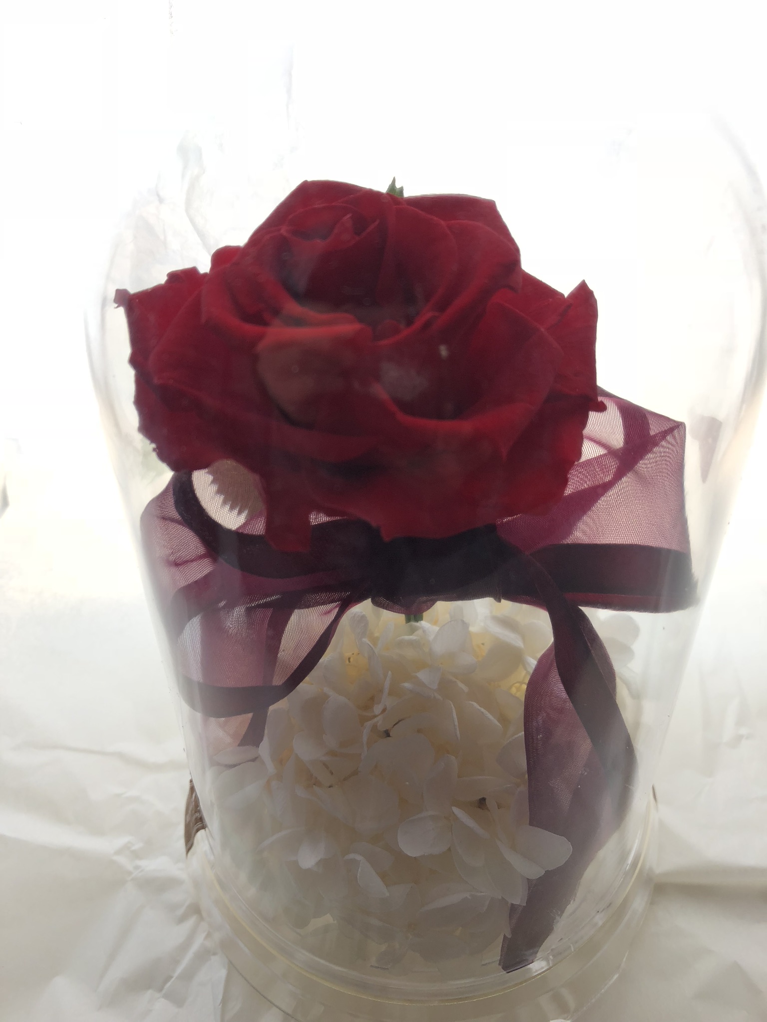 ハロウィンも可愛い花で飾りましょう～♬