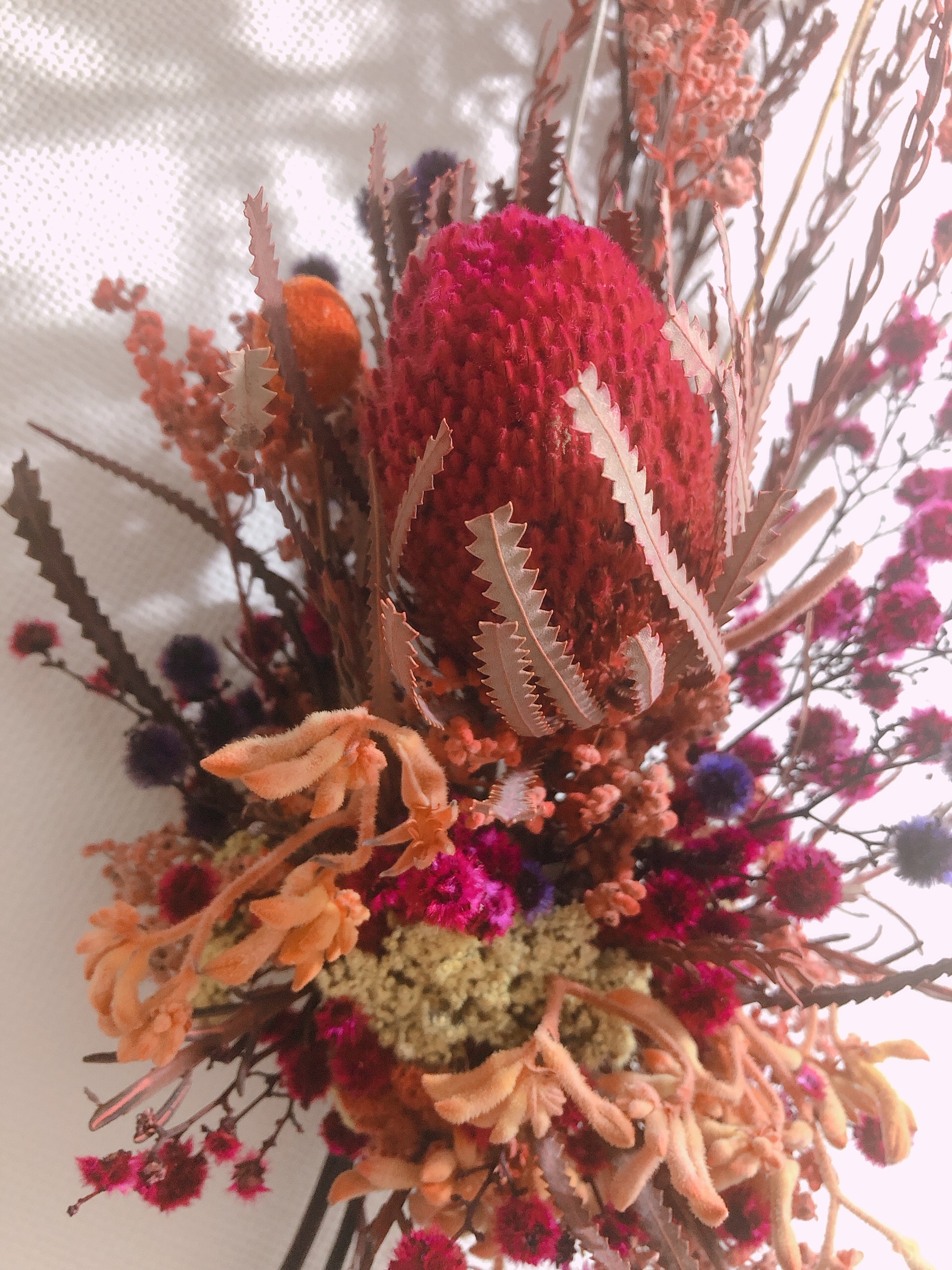 世界にひとつだけの花