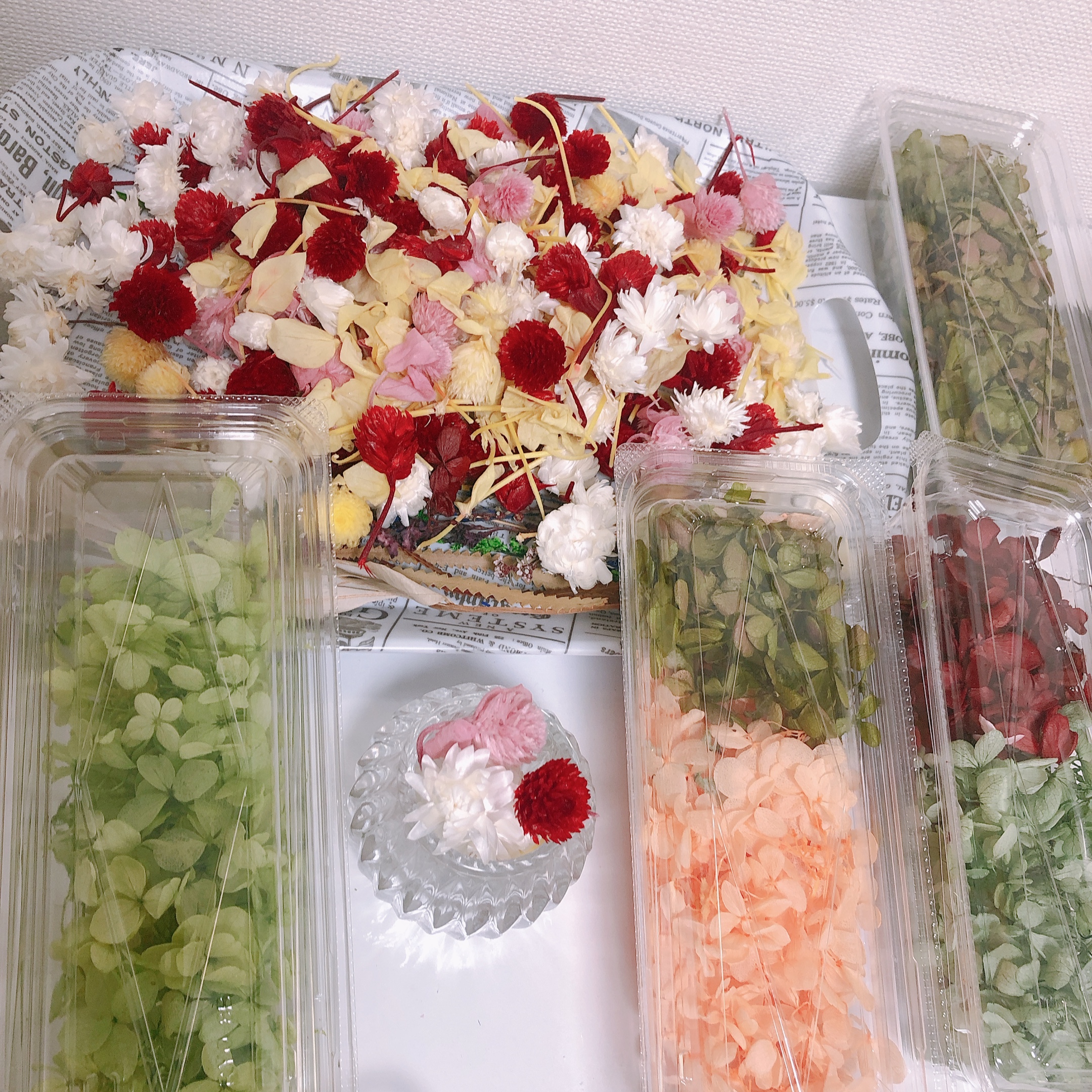 新年2020，1月限定企画　