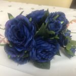 コロナウイルス終息までのレッスンについて・・・