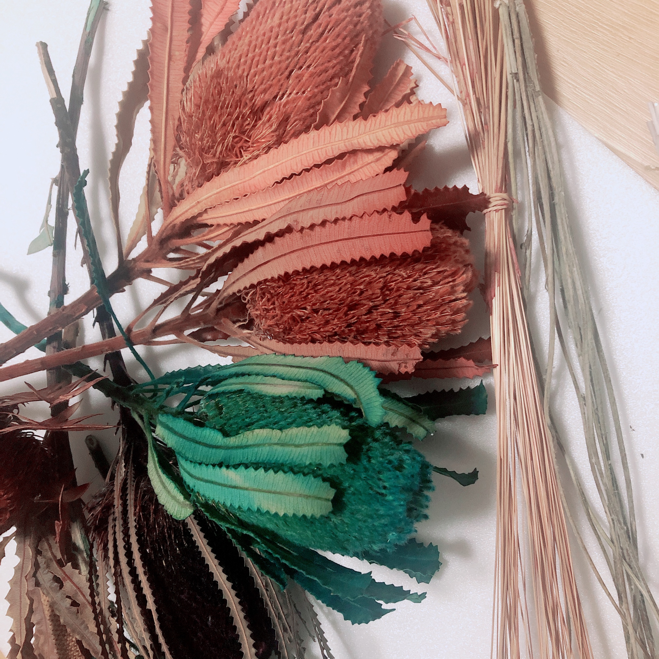 プリザーブドフラワー販売＆教室