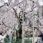 3月のイベント情報と御礼