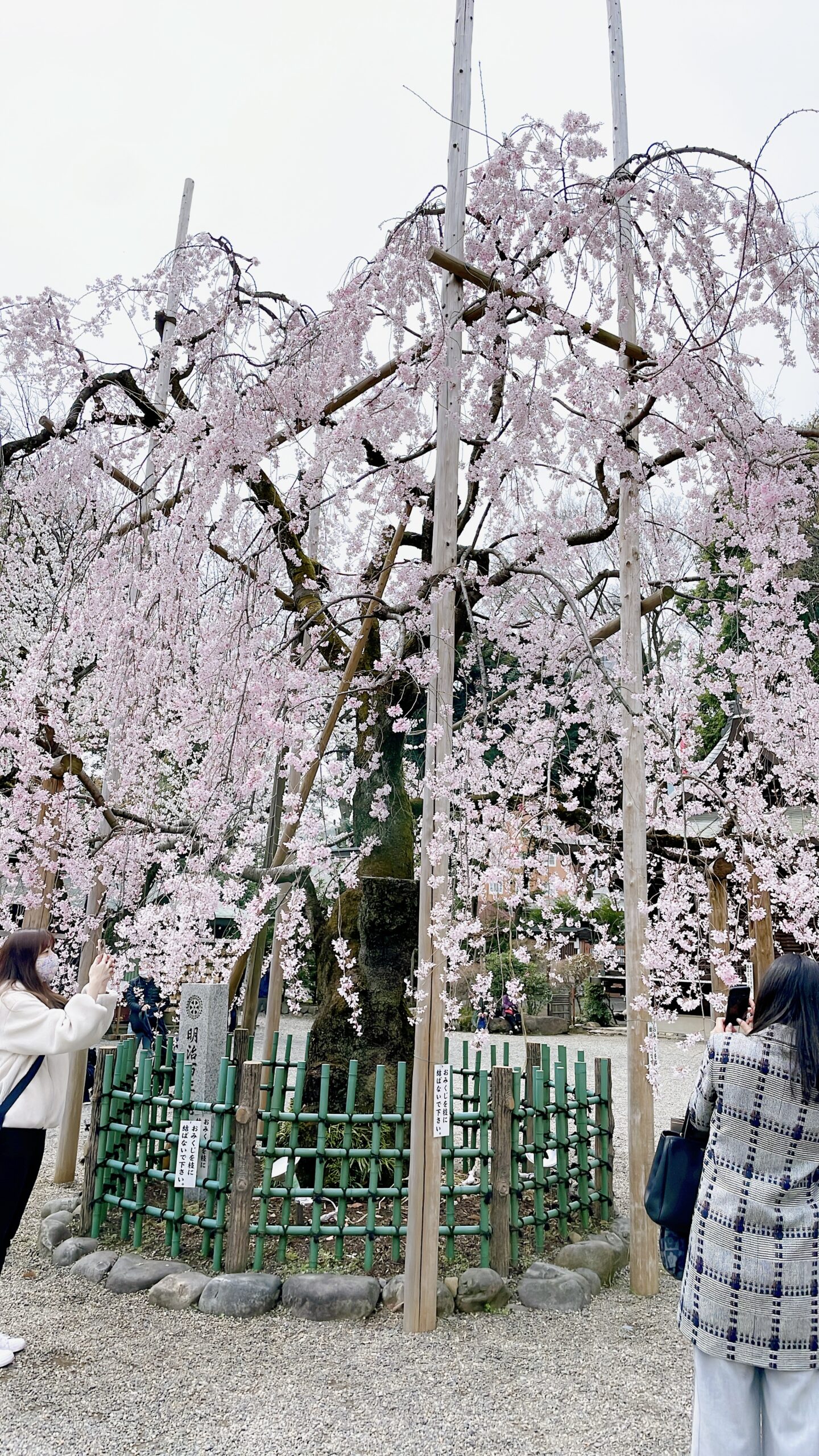 3月のイベント情報と御礼