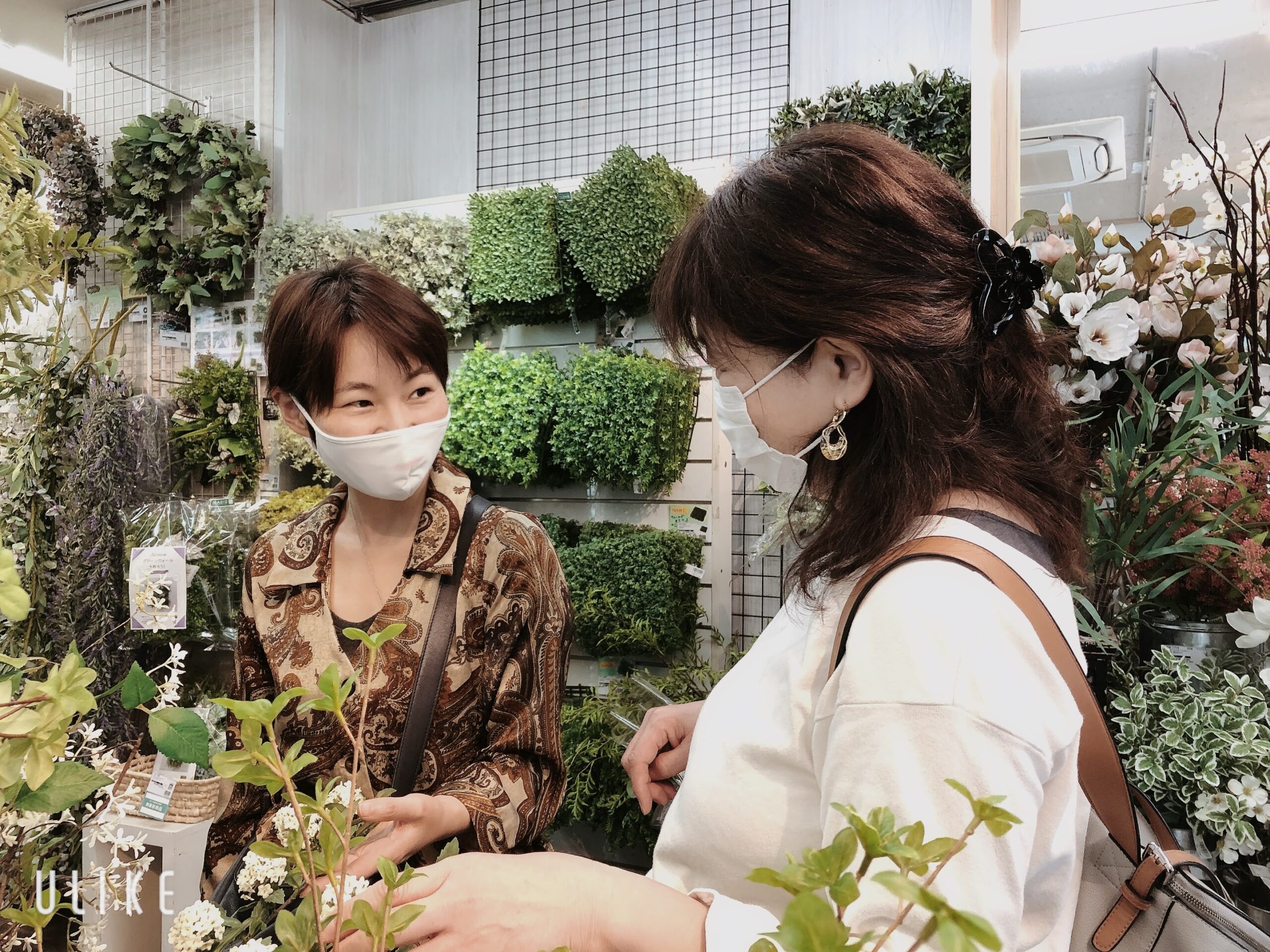 まだ間に合います!!　今月中ディプロマコース割引中