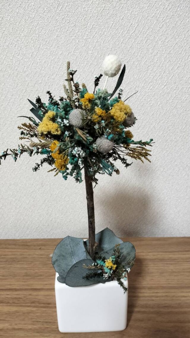 3.ユーカリスワッグ 3タイプから選べる fd ユーカリのナチュラルスワッグ ドライフラワー