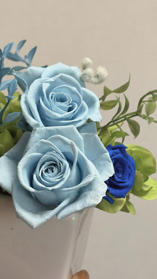 プリザーブドフラワー | Blue Rose iCCO
